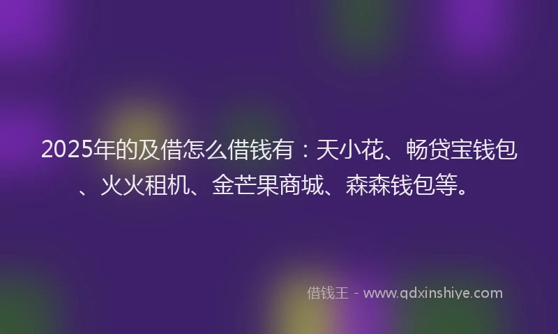 2025年的及借怎么借钱有：天小花、畅贷宝钱包、火火租机、金芒果商城、森森钱包等。