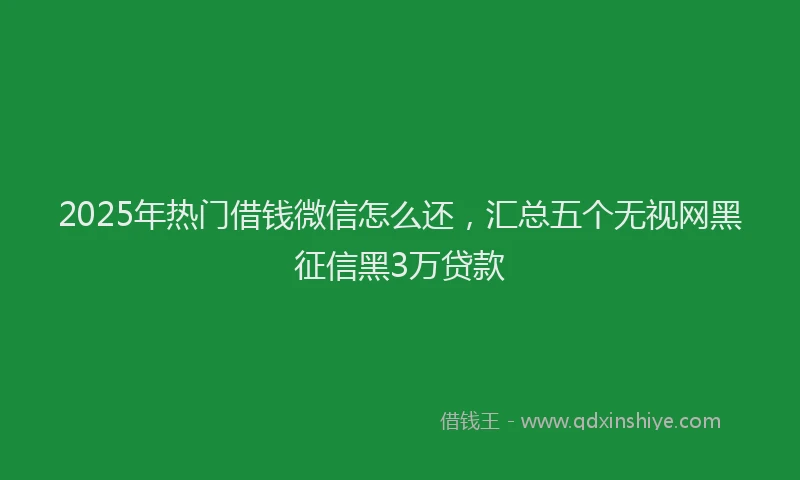 2025年热门借钱微信怎么还，汇总五个无视网黑征信黑3万贷款