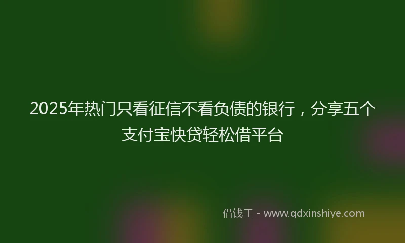 2025年热门只看征信不看负债的银行，分享五个支付宝快贷轻松借平台