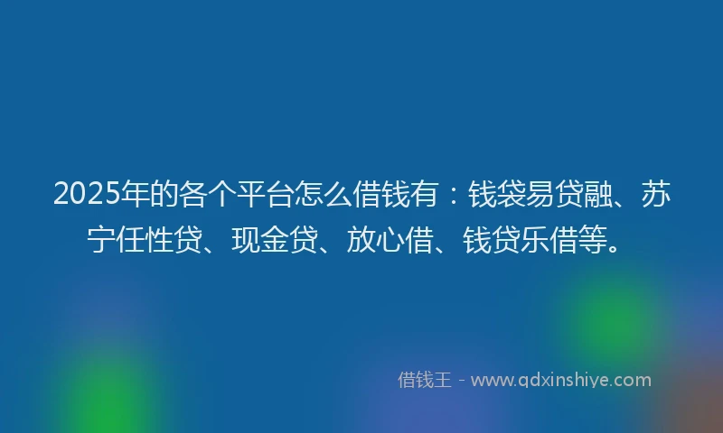 2025年的各个平台怎么借钱有：钱袋易贷融、苏宁任性贷、现金贷、放心借、钱贷乐借等。
