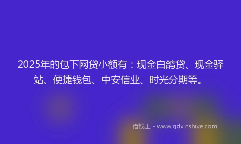 2025年的包下网贷小额有：现金白鸽贷、现金驿站、便捷钱包、中安信业、时光分期等。