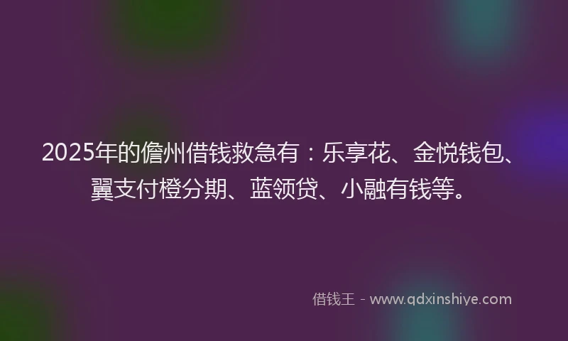 2025年的儋州借钱救急有：乐享花、金悦钱包、翼支付橙分期、蓝领贷、小融有钱等。