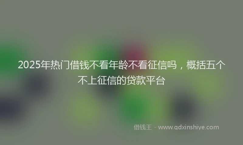 2025年热门借钱不看年龄不看征信吗，概括五个不上征信的贷款平台