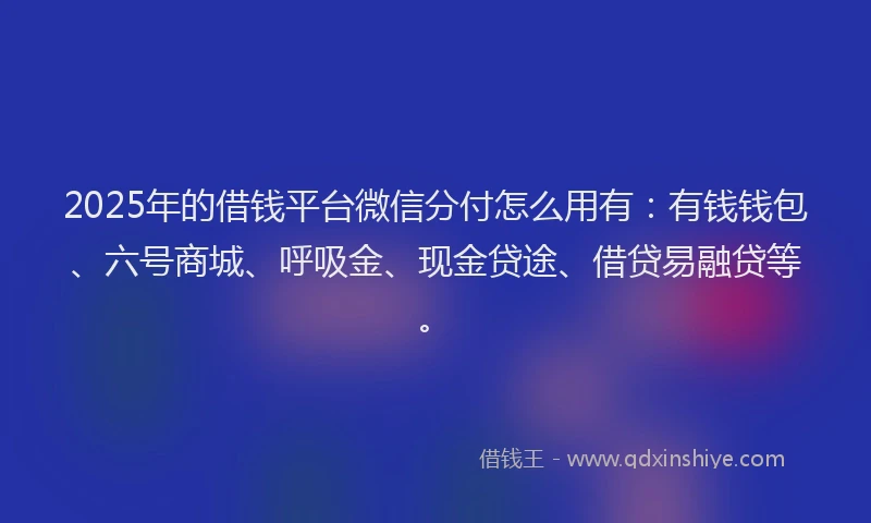 2025年的借钱平台微信分付怎么用有：有钱钱包、六号商城、呼吸金、现金贷途、借贷易融贷等。