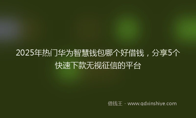 2025年热门华为智慧钱包哪个好借钱，分享5个快速下款无视征信的平台