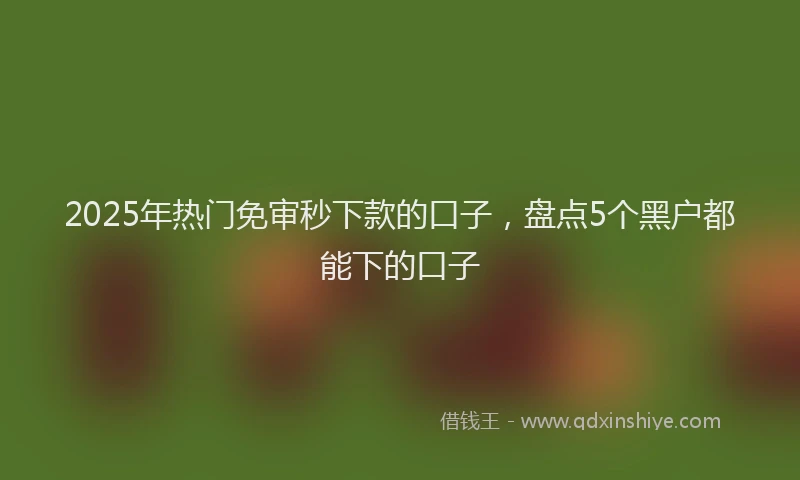 2025年热门免审秒下款的口子，盘点5个黑户都能下的口子