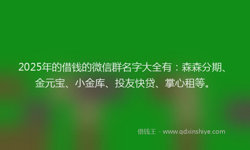 2025年的借钱的微信群名字大全有：森森分期、金元宝、小金库、投友快贷、掌心租等。
