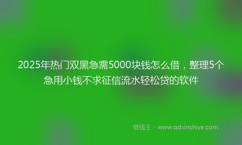 2025年热门双黑急需5000块钱怎么借，整理5个急用小钱不求征信流水轻松贷的软件