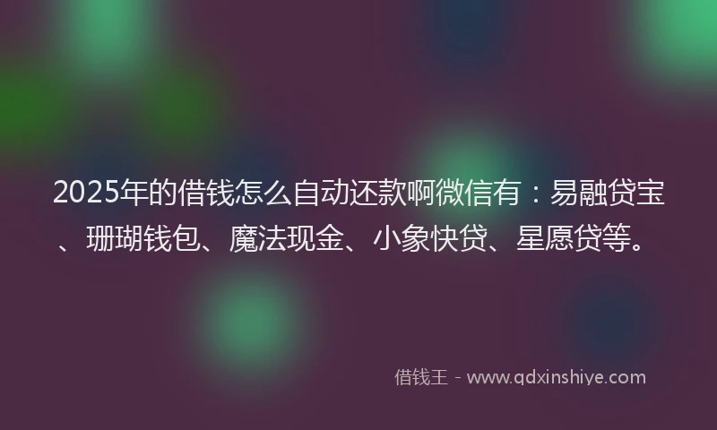 2025年的借钱怎么自动还款啊微信有：易融贷宝、珊瑚钱包、魔法现金、小象快贷、星愿贷等。