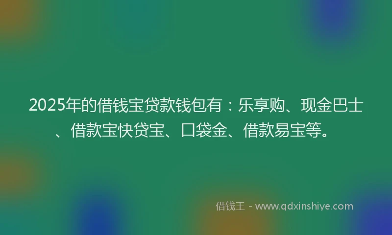 2025年的借钱宝贷款钱包有：乐享购、现金巴士、借款宝快贷宝、口袋金、借款易宝等。