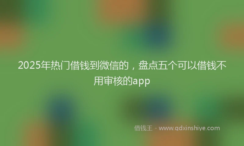 2025年热门借钱到微信的，盘点五个可以借钱不用审核的app