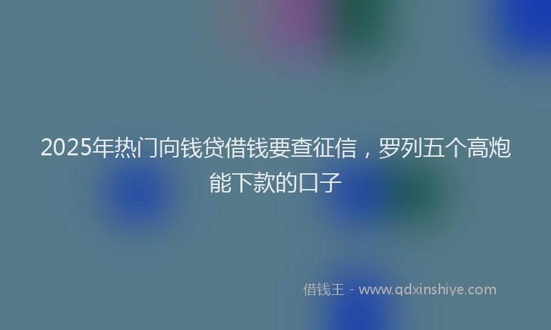2025年热门向钱贷借钱要查征信，罗列五个高炮能下款的口子