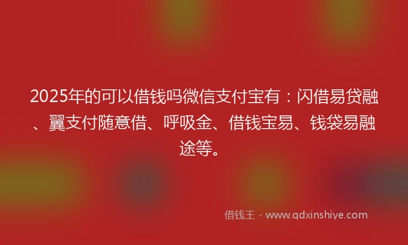2025年的可以借钱吗微信支付宝有：闪借易贷融、翼支付随意借、呼吸金、借钱宝易、钱袋易融途等。