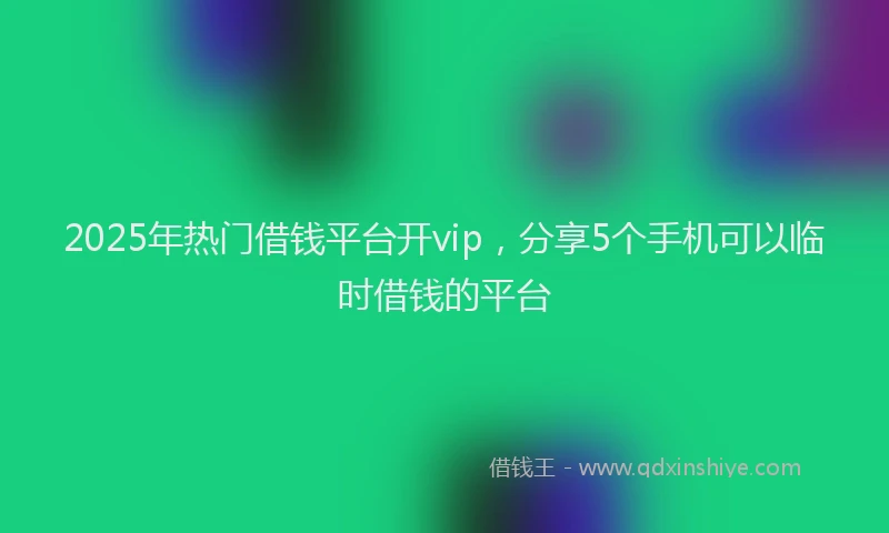 2025年热门借钱平台开vip，分享5个手机可以临时借钱的平台