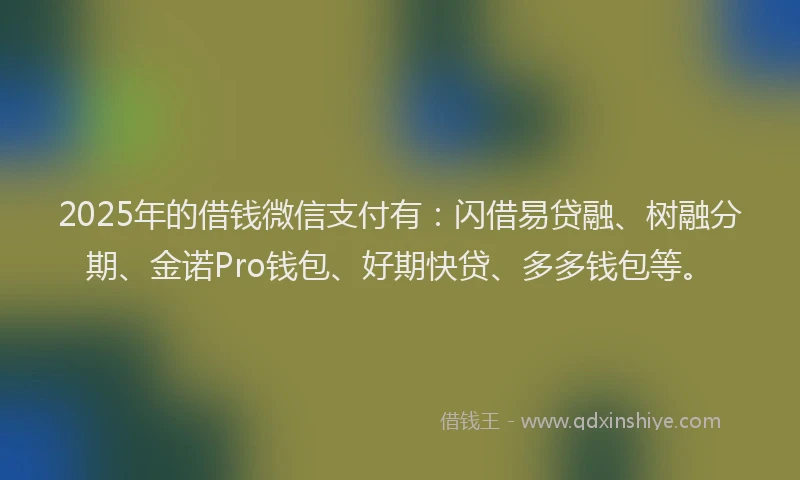 2025年的借钱微信支付有：闪借易贷融、树融分期、金诺Pro钱包、好期快贷、多多钱包等。
