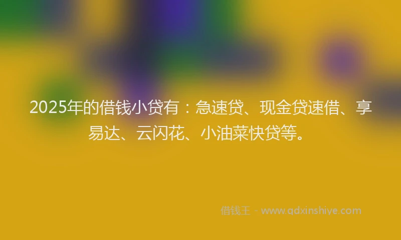 2025年的借钱小贷有：急速贷、现金贷速借、享易达、云闪花、小油菜快贷等。