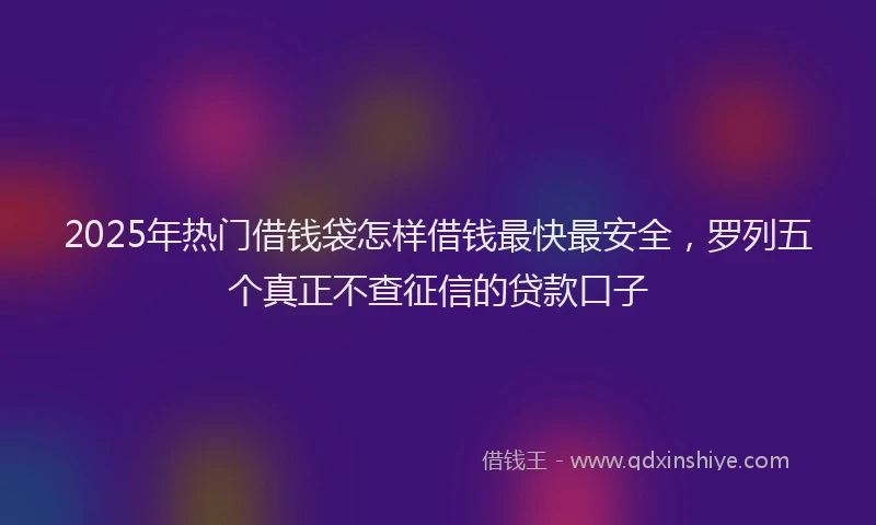 2025年热门借钱袋怎样借钱最快最安全，罗列五个真正不查征信的贷款口子