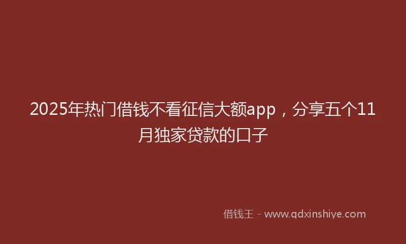2025年热门借钱不看征信大额app，分享五个11月独家贷款的口子
