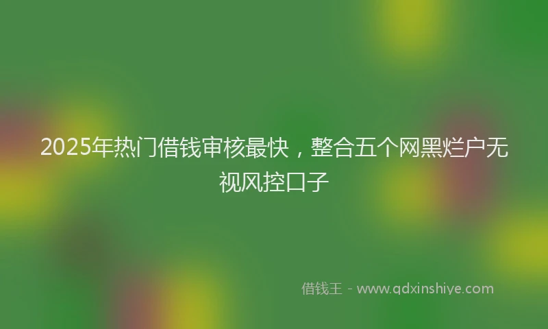 2025年热门借钱审核最快，整合五个网黑烂户无视风控口子