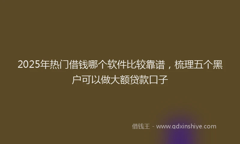 2025年热门借钱哪个软件比较靠谱，梳理五个黑户可以做大额贷款口子