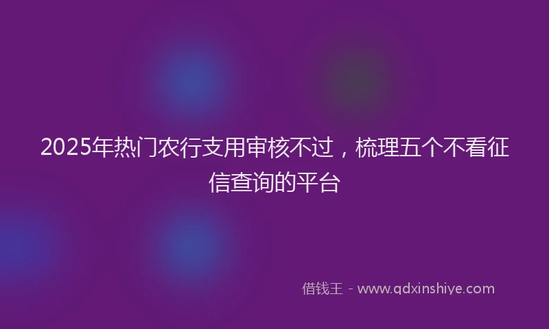 2025年热门农行支用审核不过，梳理五个不看征信查询的平台