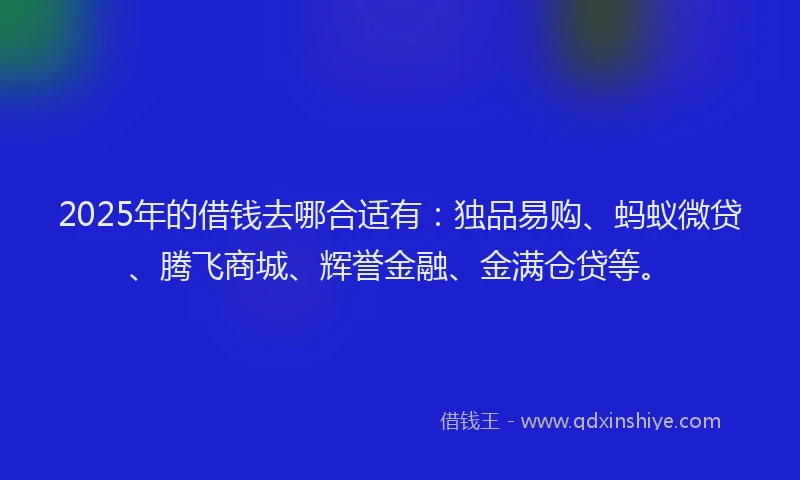 2025年的借钱去哪合适有：独品易购、蚂蚁微贷、腾飞商城、辉誉金融、金满仓贷等。