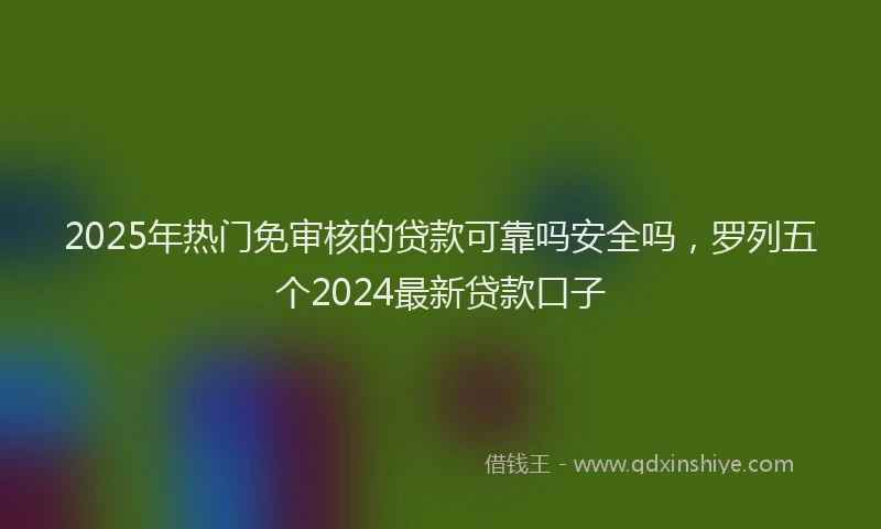 2025年热门免审核的贷款可靠吗安全吗，罗列五个2024最新贷款口子