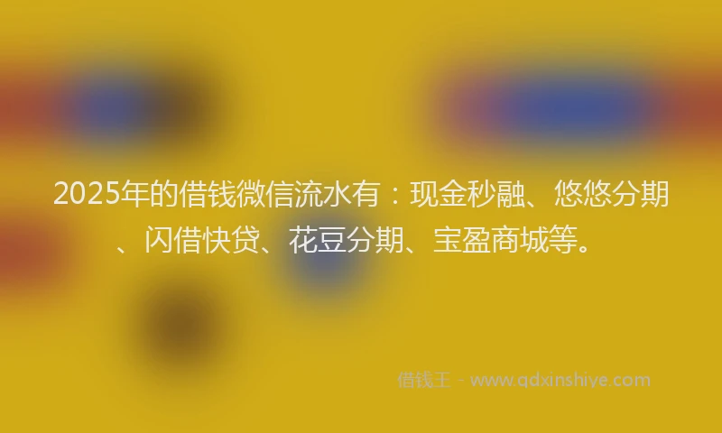 2025年的借钱微信流水有：现金秒融、悠悠分期、闪借快贷、花豆分期、宝盈商城等。