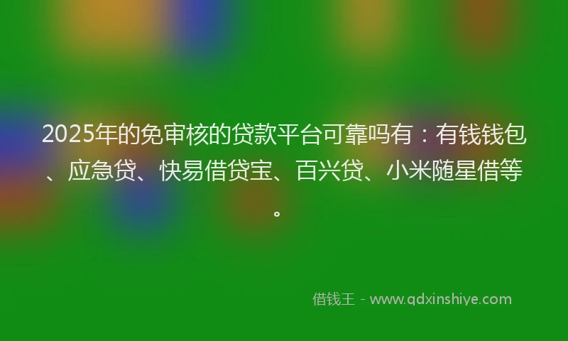 2025年的免审核的贷款平台可靠吗有：有钱钱包、应急贷、快易借贷宝、百兴贷、小米随星借等。