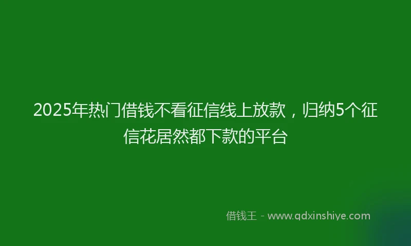 2025年热门借钱不看征信线上放款，归纳5个征信花居然都下款的平台