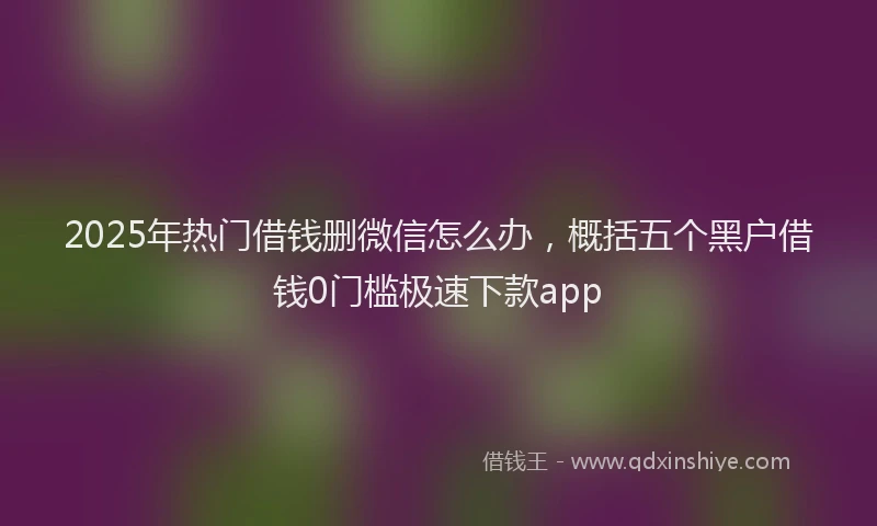 2025年热门借钱删微信怎么办，概括五个黑户借钱0门槛极速下款app