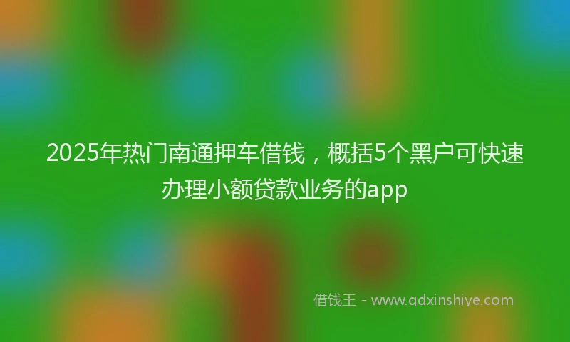 2025年热门南通押车借钱，概括5个黑户可快速办理小额贷款业务的app
