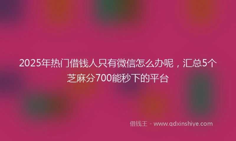2025年热门借钱人只有微信怎么办呢，汇总5个芝麻分700能秒下的平台