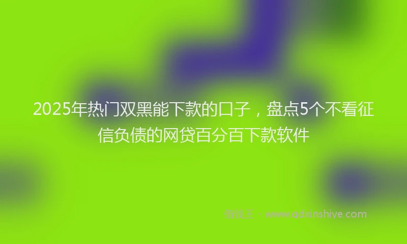 2025年热门双黑能下款的口子，盘点5个不看征信负债的网贷百分百下款软件