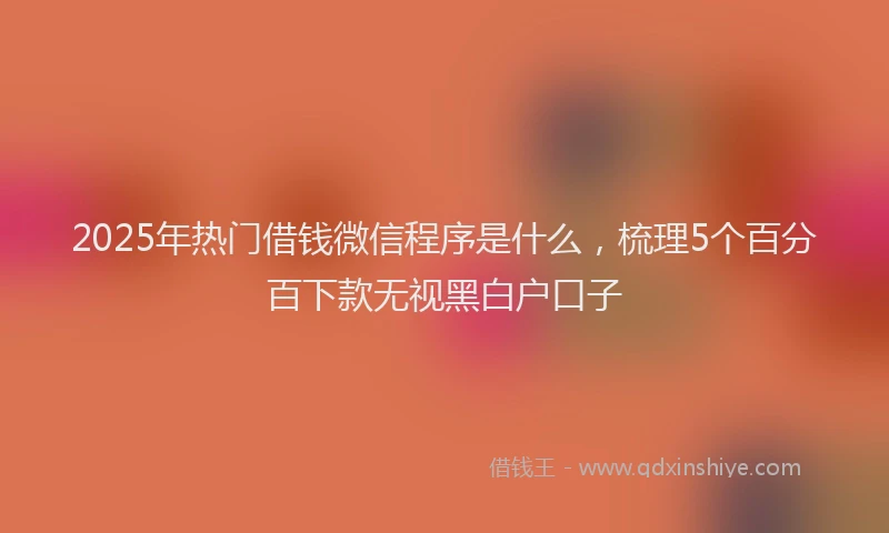 2025年热门借钱微信程序是什么，梳理5个百分百下款无视黑白户口子