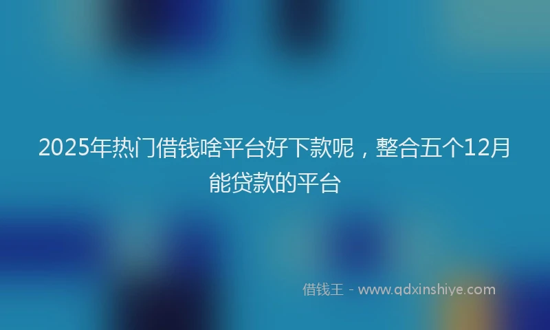 2025年热门借钱啥平台好下款呢，整合五个12月能贷款的平台