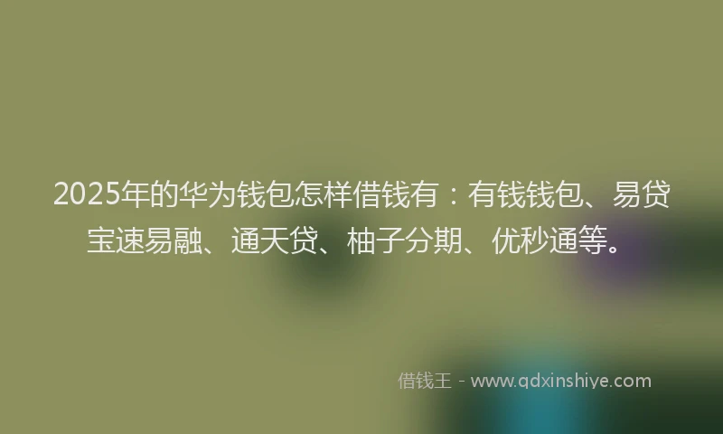 2025年的华为钱包怎样借钱有：有钱钱包、易贷宝速易融、通天贷、柚子分期、优秒通等。