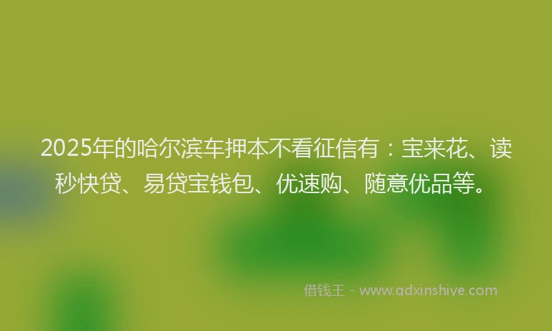 2025年的哈尔滨车押本不看征信有：宝来花、读秒快贷、易贷宝钱包、优速购、随意优品等。