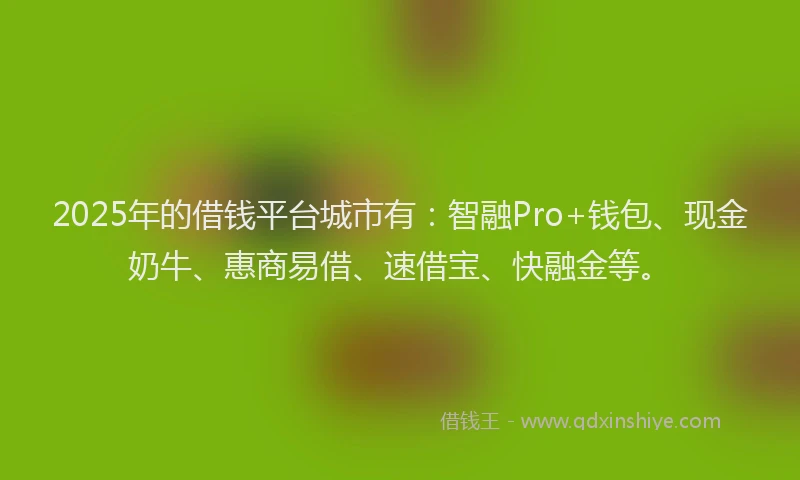 2025年的借钱平台城市有：智融Pro+钱包、现金奶牛、惠商易借、速借宝、快融金等。