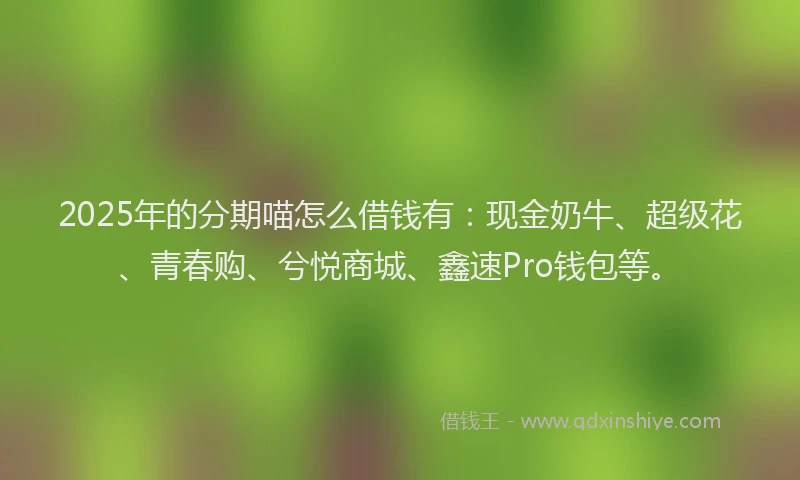 2025年的分期喵怎么借钱有：现金奶牛、超级花、青春购、兮悦商城、鑫速Pro钱包等。
