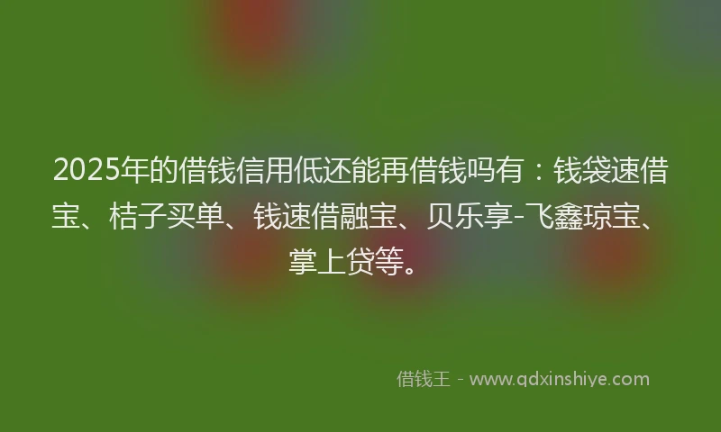2025年的借钱信用低还能再借钱吗有：钱袋速借宝、桔子买单、钱速借融宝、贝乐享-飞鑫琼宝、掌上贷等。