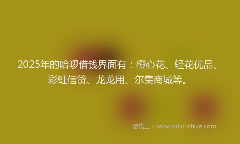 2025年的哈啰借钱界面有：橙心花、轻花优品、彩虹信贷、龙龙用、尔集商城等。