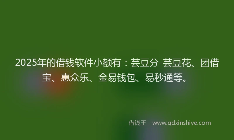 2025年的借钱软件小额有：芸豆分-芸豆花、团借宝、惠众乐、金易钱包、易秒通等。