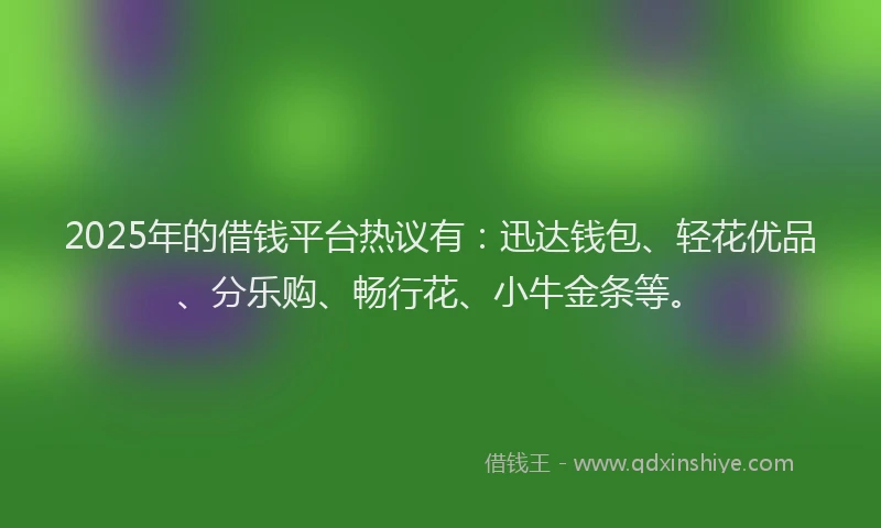 2025年的借钱平台热议有：迅达钱包、轻花优品、分乐购、畅行花、小牛金条等。