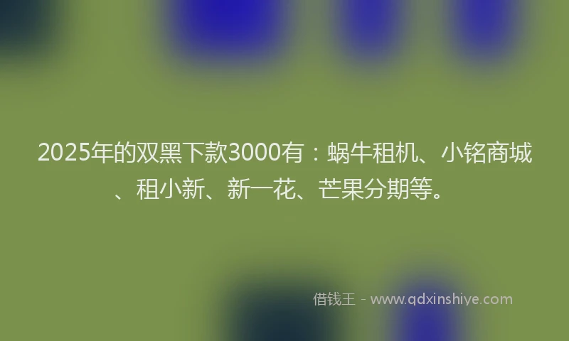 2025年的双黑下款3000有：蜗牛租机、小铭商城、租小新、新一花、芒果分期等。