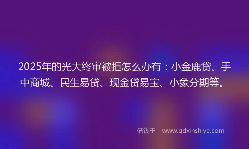 2025年的光大终审被拒怎么办有：小金鹿贷、手中商城、民生易贷、现金贷易宝、小象分期等。