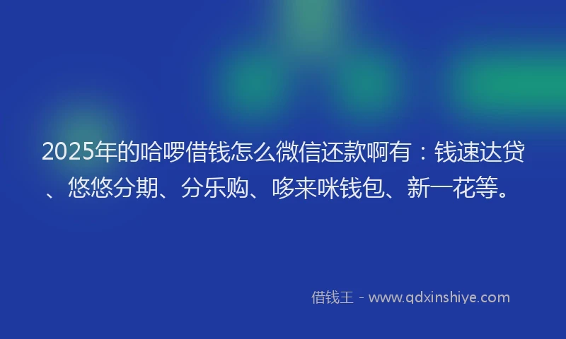 2025年的哈啰借钱怎么微信还款啊有：钱速达贷、悠悠分期、分乐购、哆来咪钱包、新一花等。