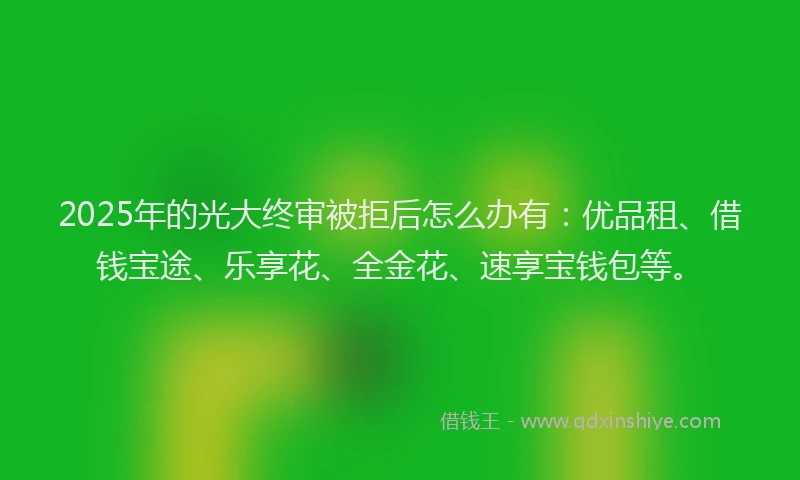 2025年的光大终审被拒后怎么办有：优品租、借钱宝途、乐享花、全金花、速享宝钱包等。