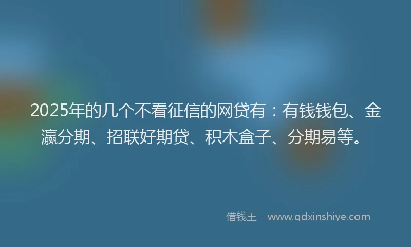 2025年的几个不看征信的网贷有：有钱钱包、金瀛分期、招联好期贷、积木盒子、分期易等。