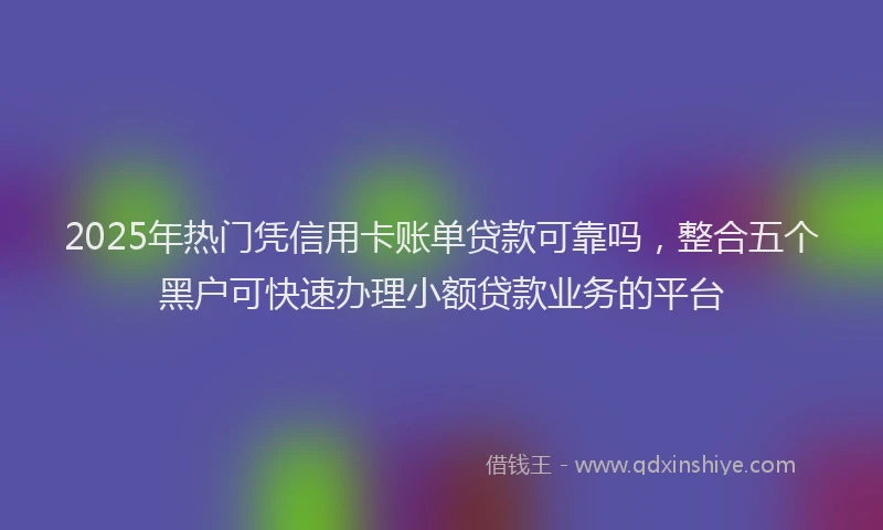 2025年热门凭信用卡账单贷款可靠吗，整合五个黑户可快速办理小额贷款业务的平台